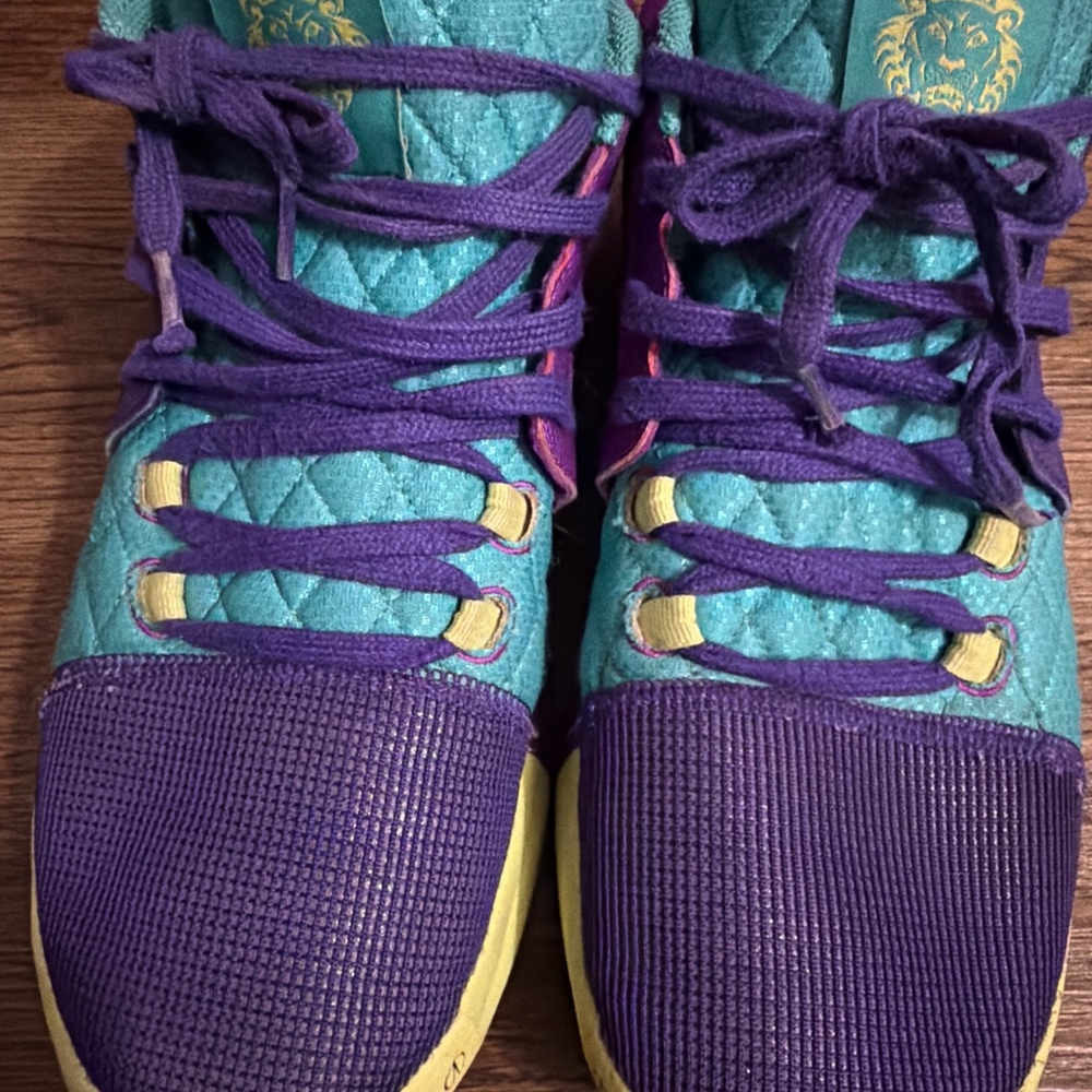 Nike LeBron Witness VIII Basketball Shoes Purple Teal Mens 10.5 (Tag Missing)